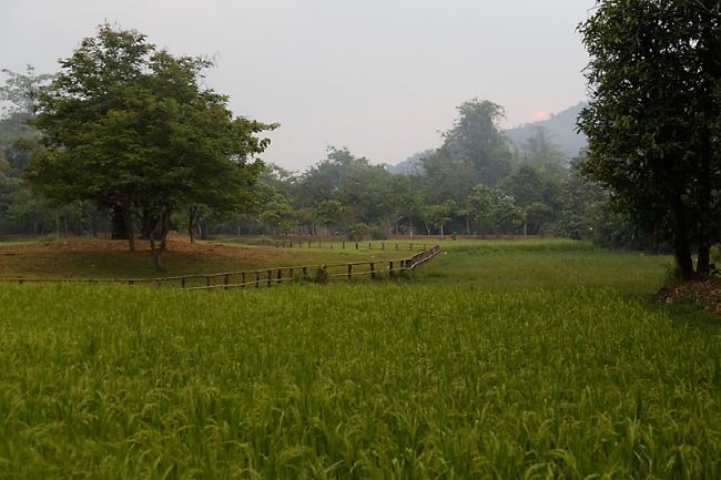 Banteay Srei-002